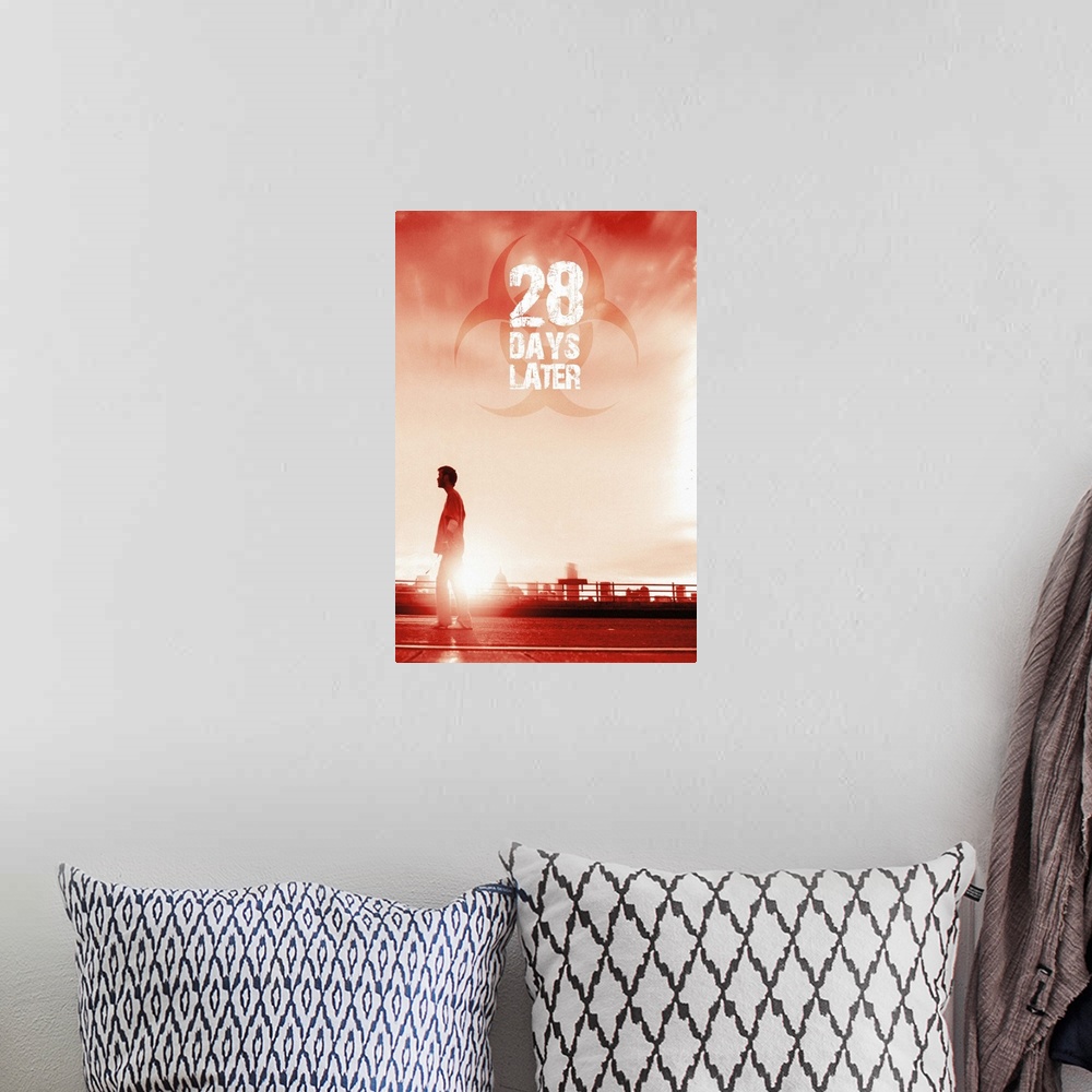 A bohemian room featuring 28 Days Later (2003)