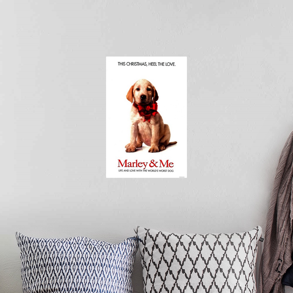 A bohemian room featuring A family learns important life lessons from their adorable, but naughty and neurotic dog.