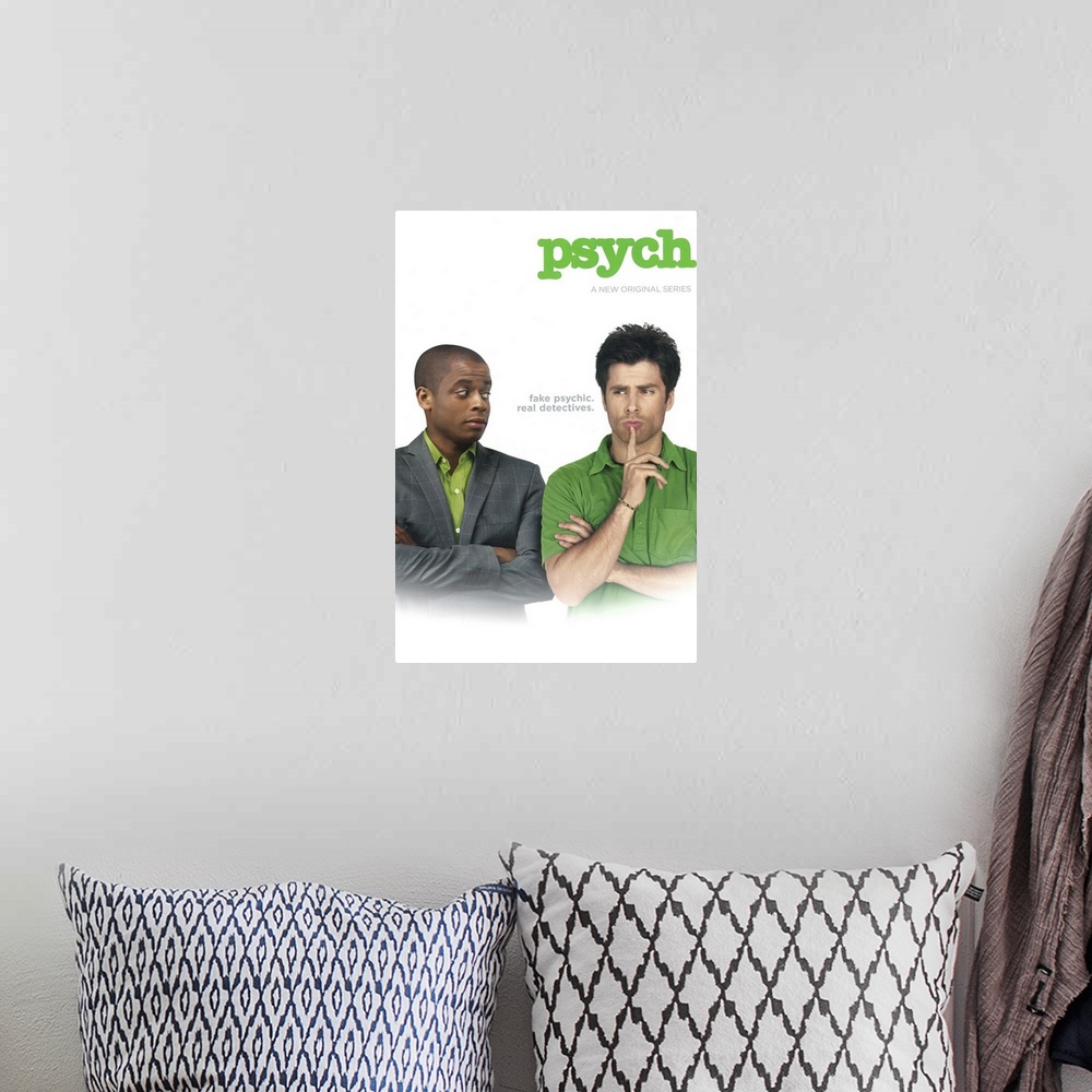 A bohemian room featuring Psych (TV) (2006)