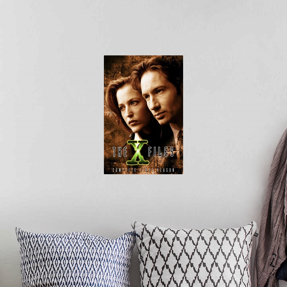A bohemian room featuring X Files, The (TV) (1993)