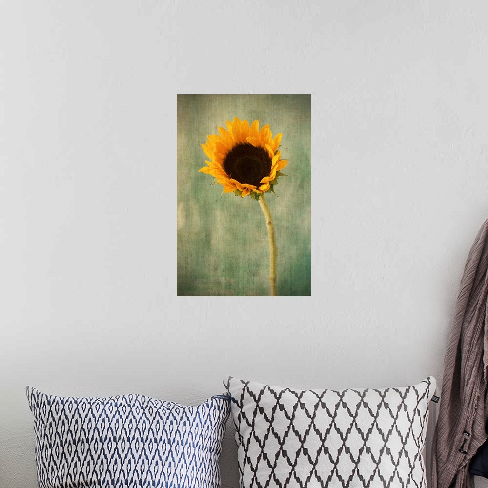 A bohemian room featuring Golden Sunflower