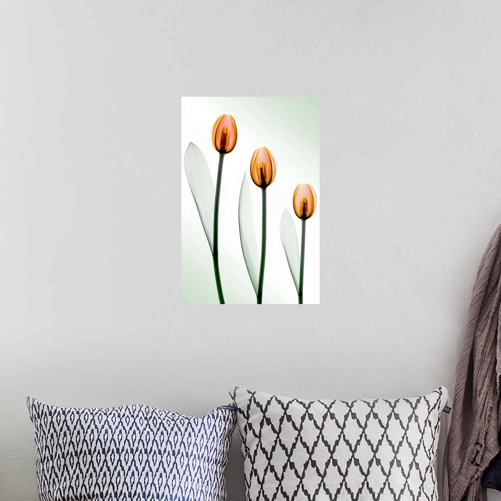 A bohemian room featuring Fine art photograph using an x-ray effect to capture an ethereal-like image of tulips.