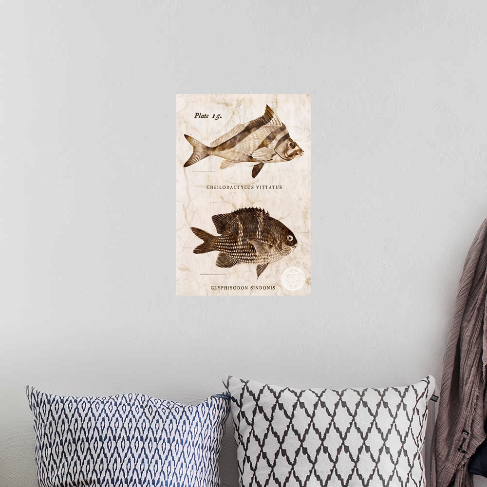 A bohemian room featuring Vintage Fish I