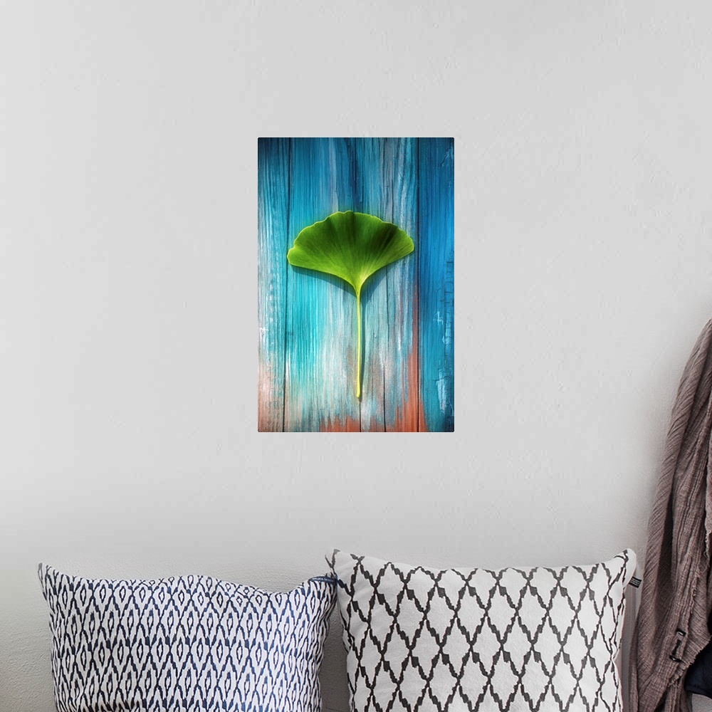 A bohemian room featuring Photograph of a single green Ginkgo leaf resting on a distressed piece of wood with blue and whit...