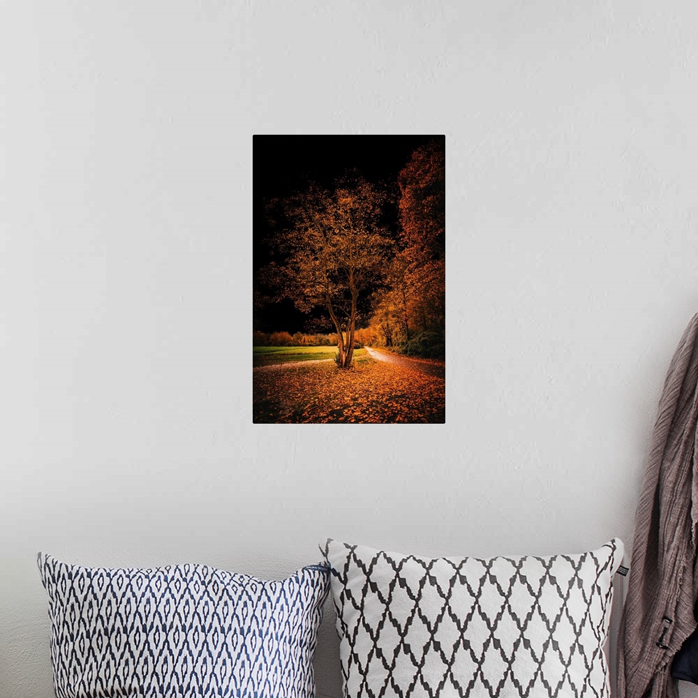 A bohemian room featuring Autumn landscape with black sky