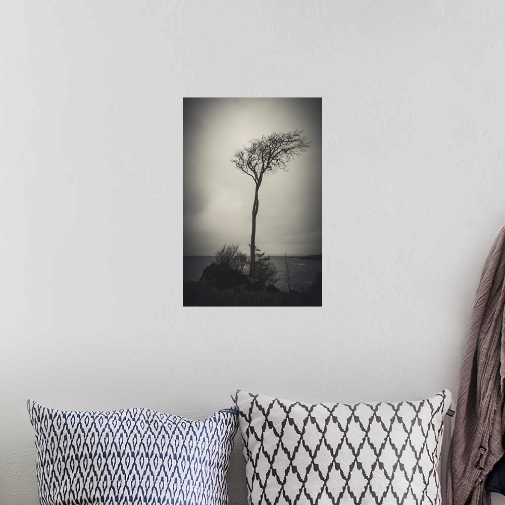 A bohemian room featuring Dark photo of a tree by the water