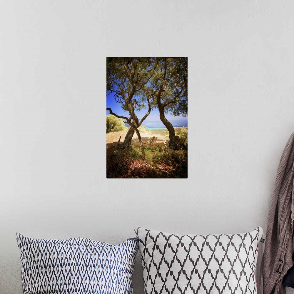 A bohemian room featuring A photograph of a windy trees in a countryside scene.