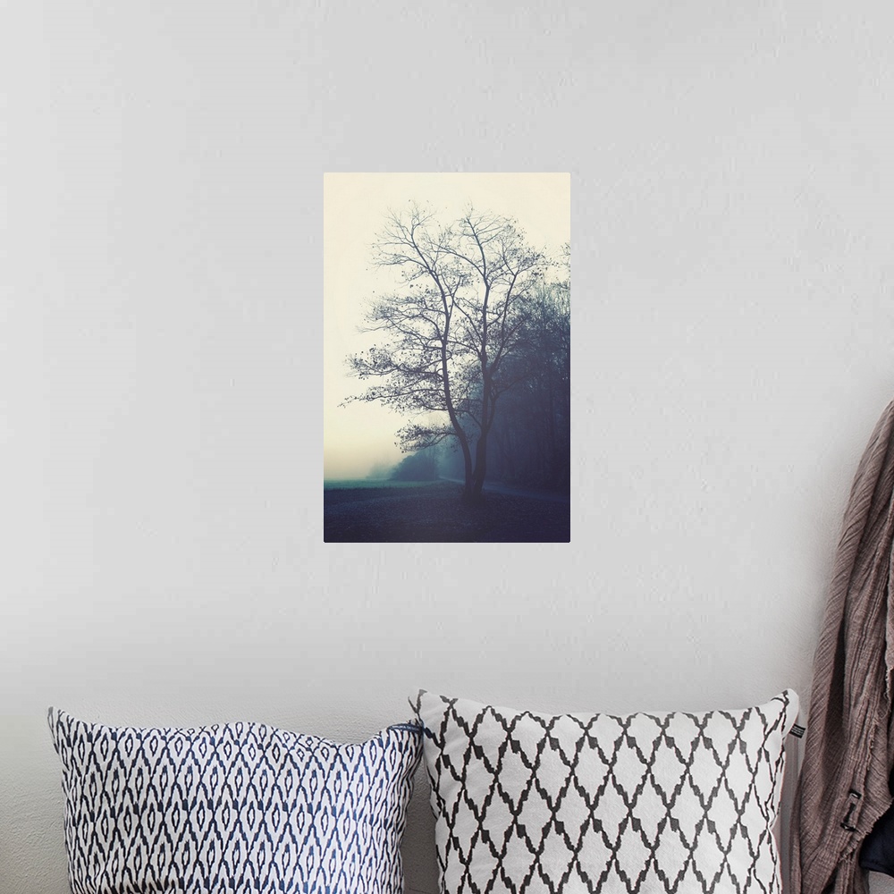 A bohemian room featuring Misty morning in the countryside with a tree in the foreground.