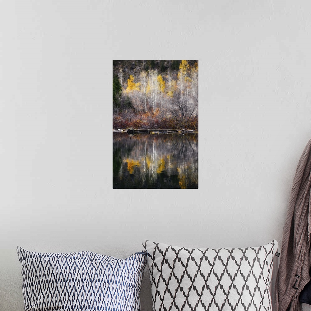 A bohemian room featuring The edge of a forest with yellow-leaved trees mirrored in the calm water below.