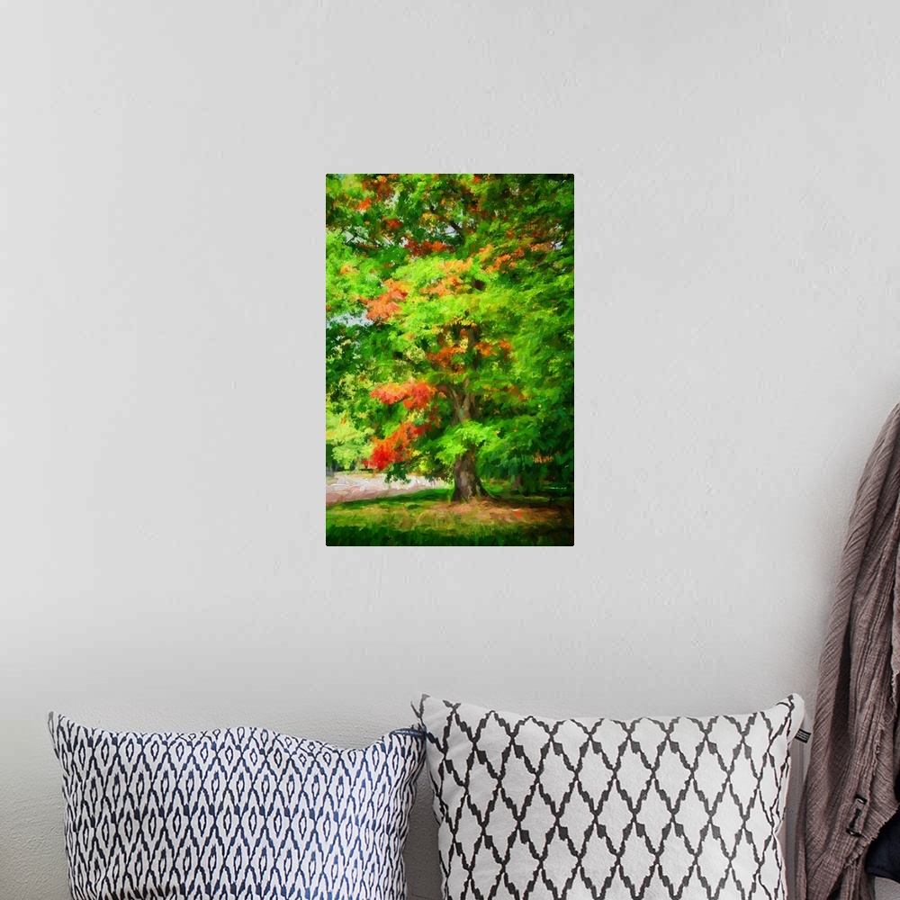 A bohemian room featuring An oak in early fall with a expressionist photo or painterly process