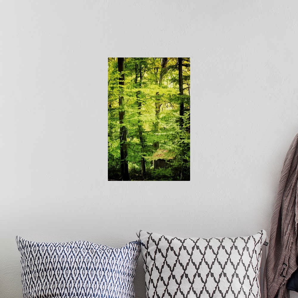 A bohemian room featuring Fine art photo of cabin hidden in the green foliage of a dense forest.