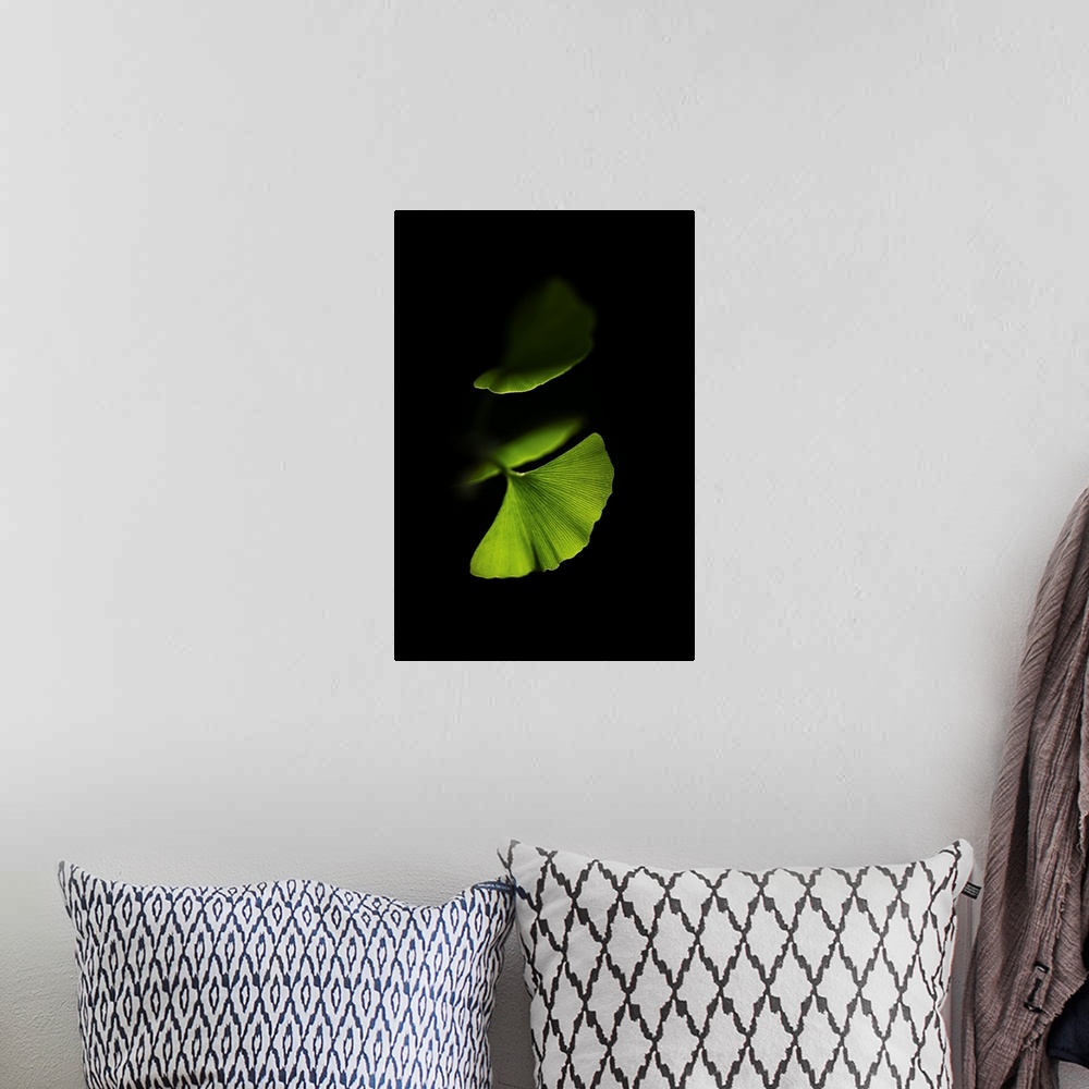 A bohemian room featuring Green gingko leaves on black background