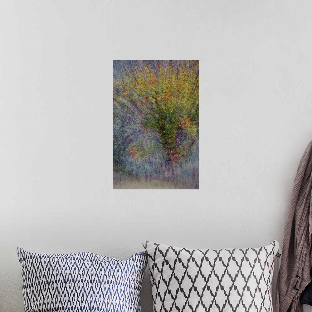 A bohemian room featuring An abstract photograph of a tree in autumn foliage.