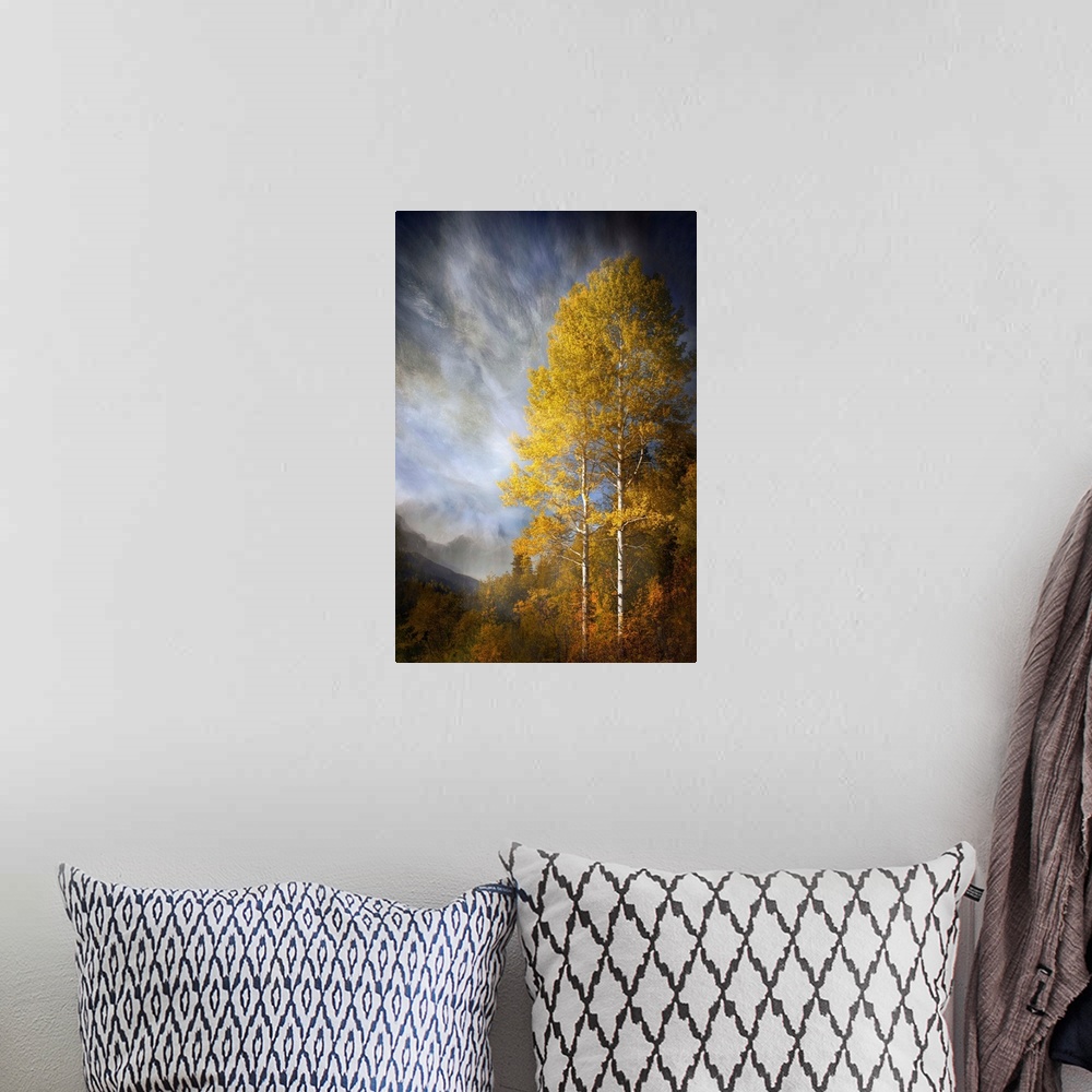 A bohemian room featuring Photograph of a forest clearing in autumn foliage, under dramatic clouds.