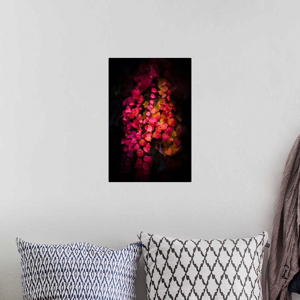 A bohemian room featuring Red ivy leaves on dark background