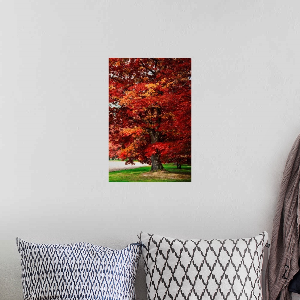 A bohemian room featuring Red oak with expressionist photo or painterly effect