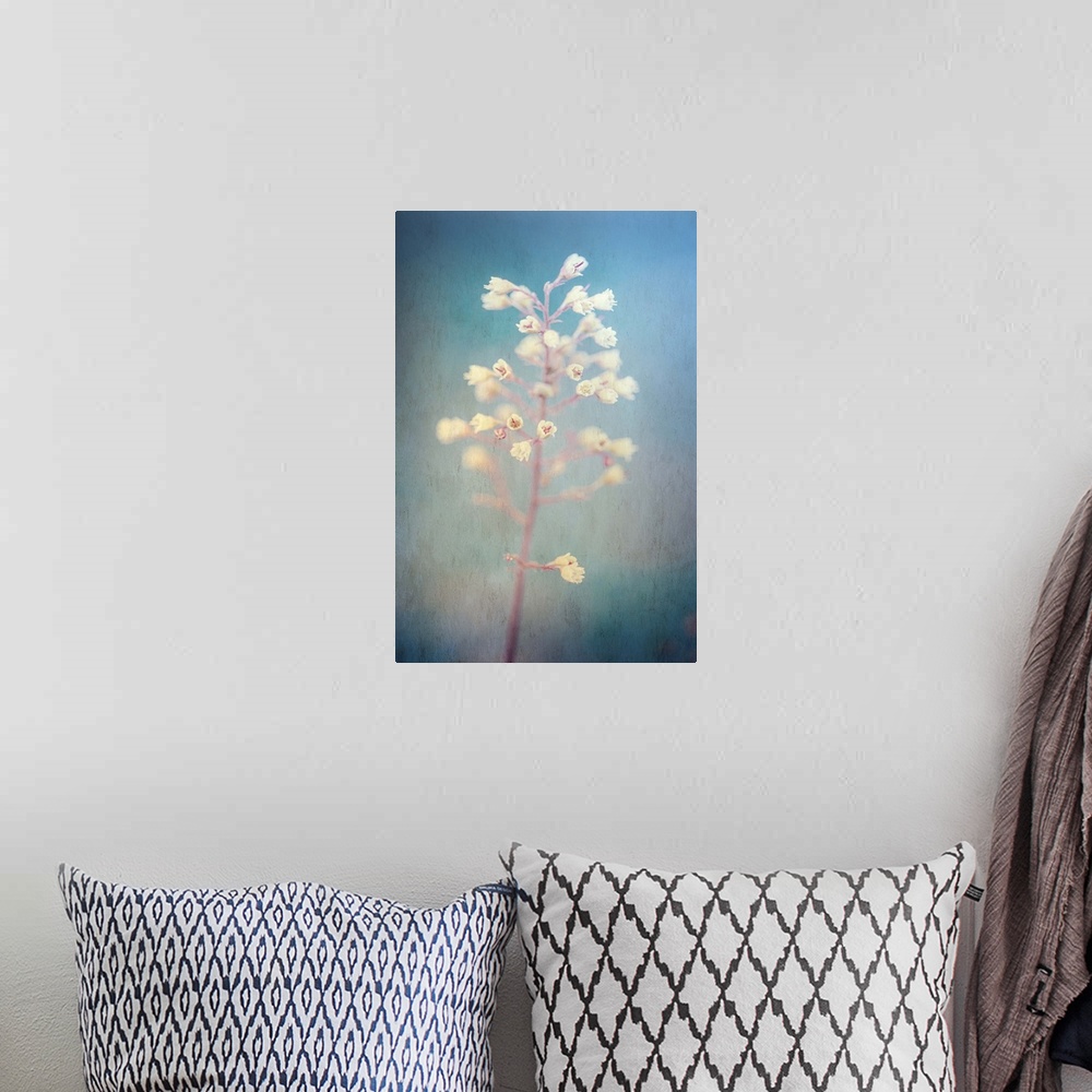 A bohemian room featuring A photograph of white flowers against a vibrant blue background.