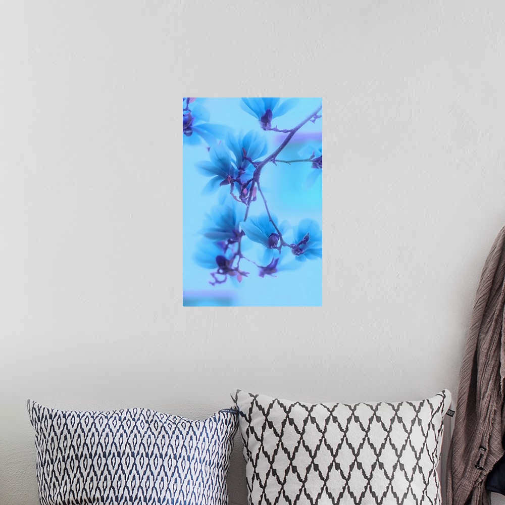 A bohemian room featuring Photo of magnolias with a blue filter