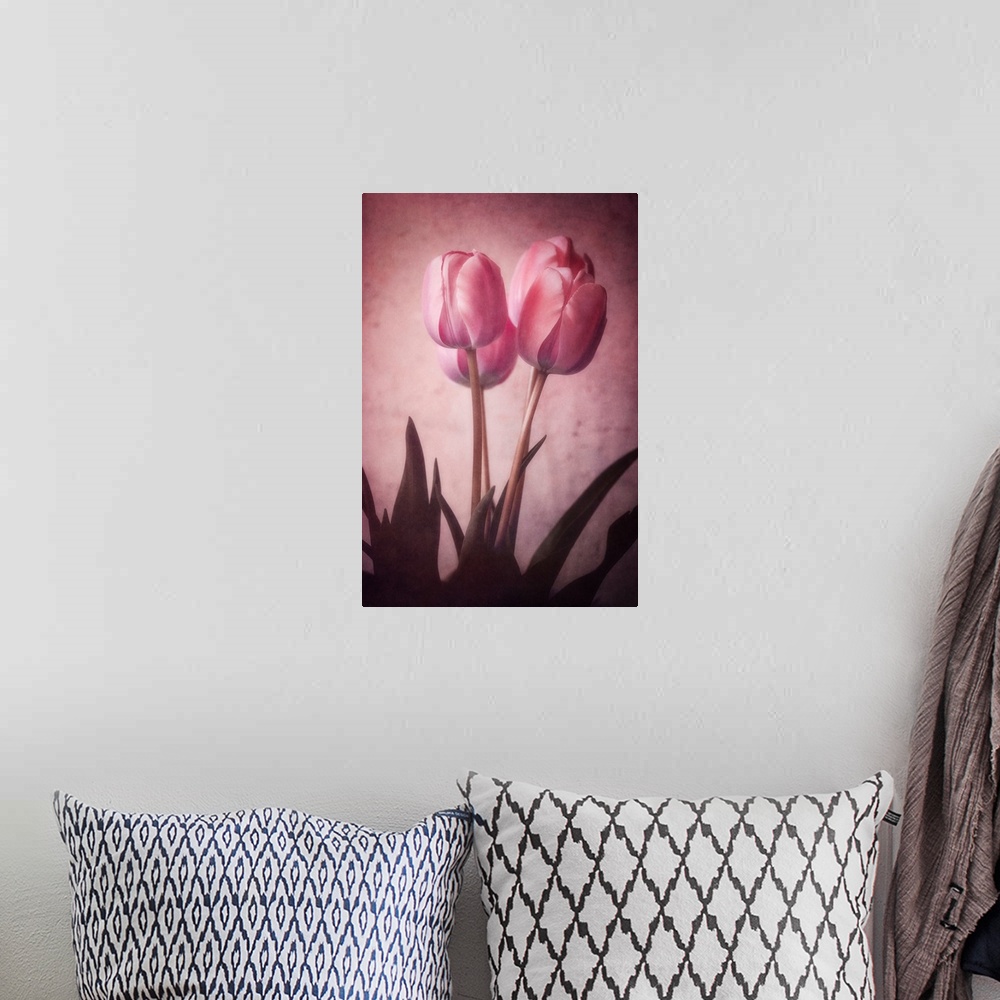 A bohemian room featuring Tulips close-up with a photo texture