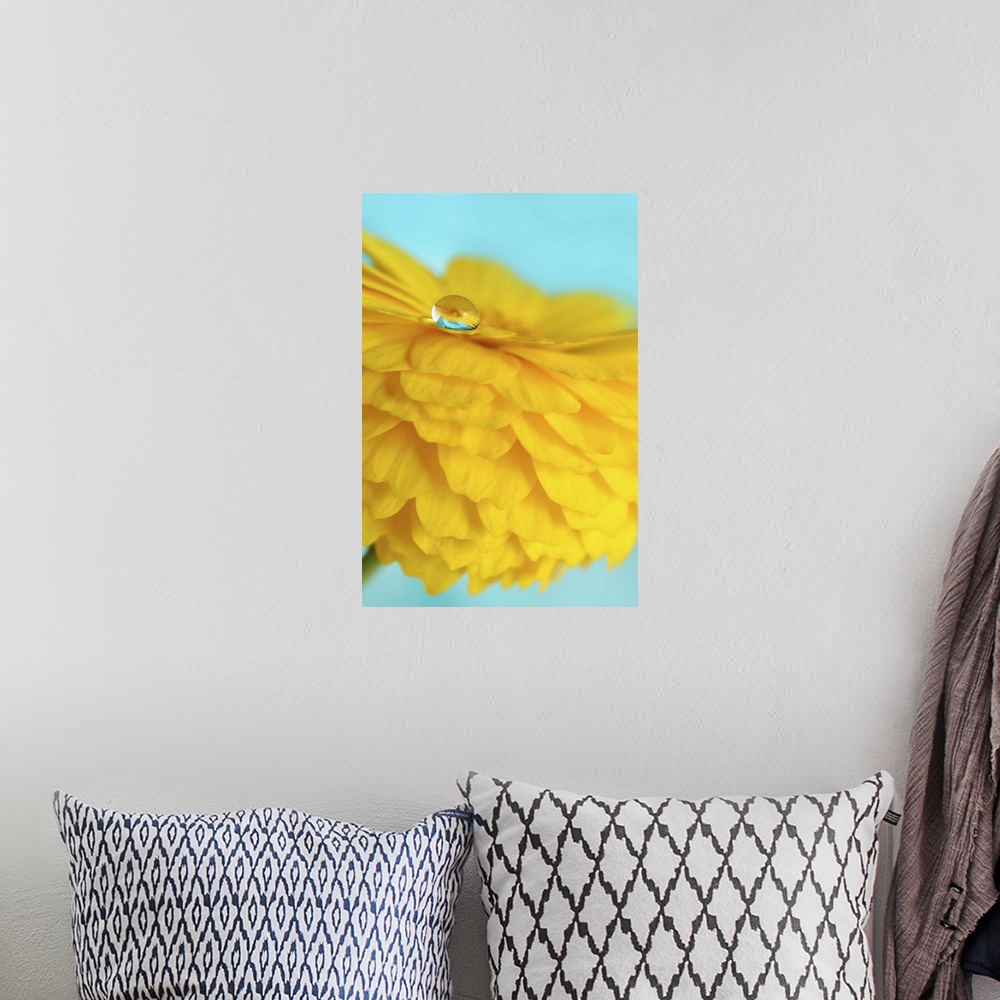 A bohemian room featuring A macro photograph of a water droplet sitting on the edge of a yellow flower petal.