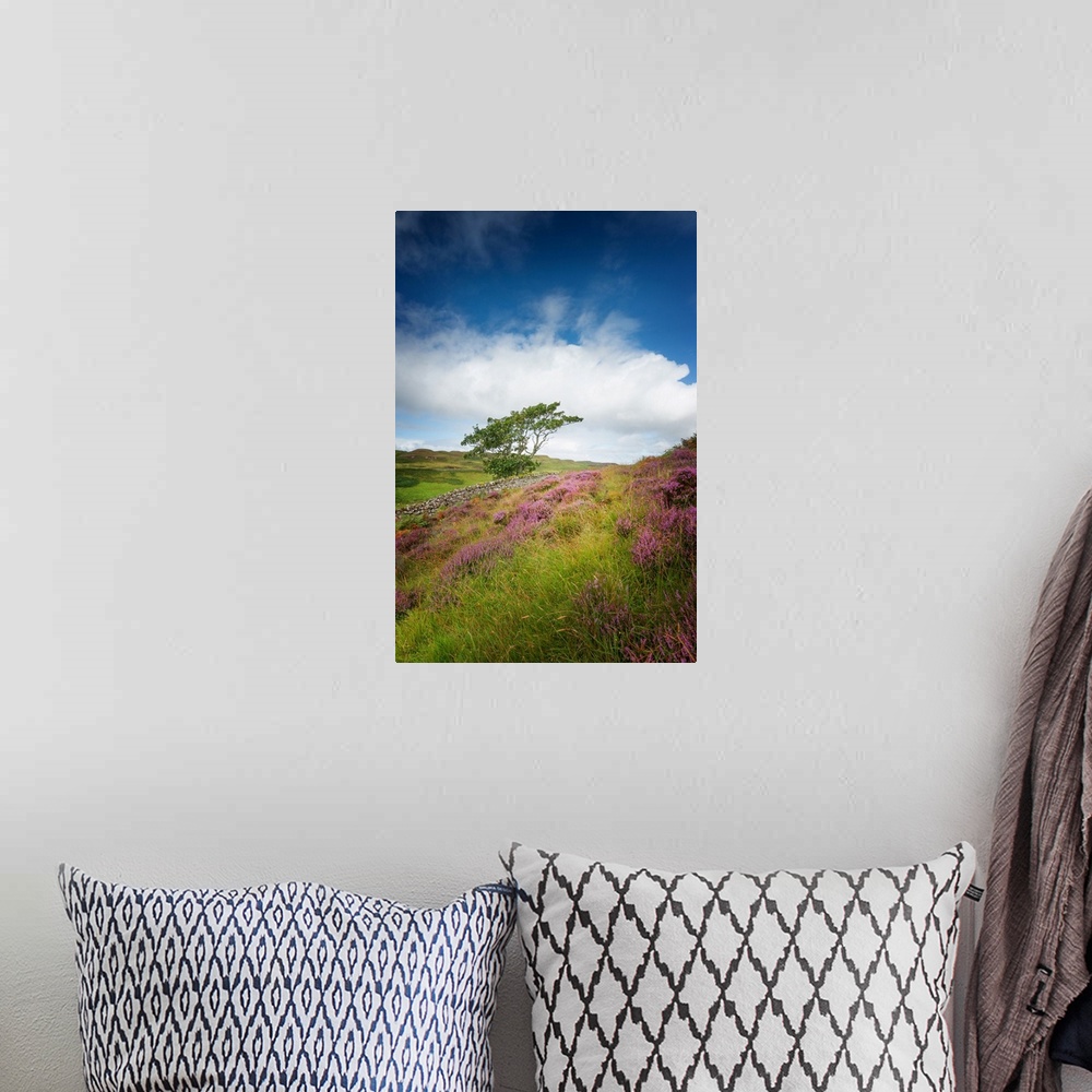 A bohemian room featuring Fine art photo of a tree at the edge of a field of wildflowers under a cloudy sky.