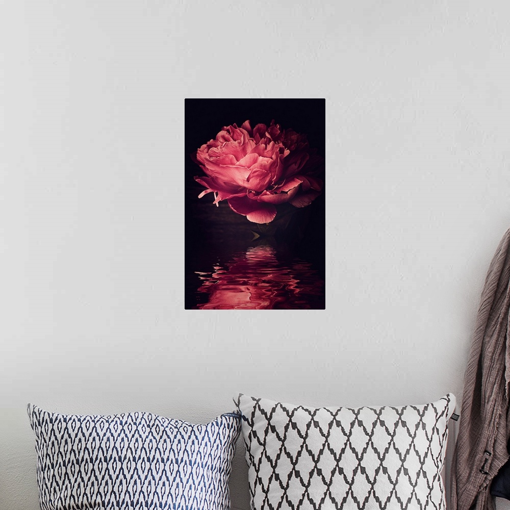 A bohemian room featuring Big peony head reflecting in the water