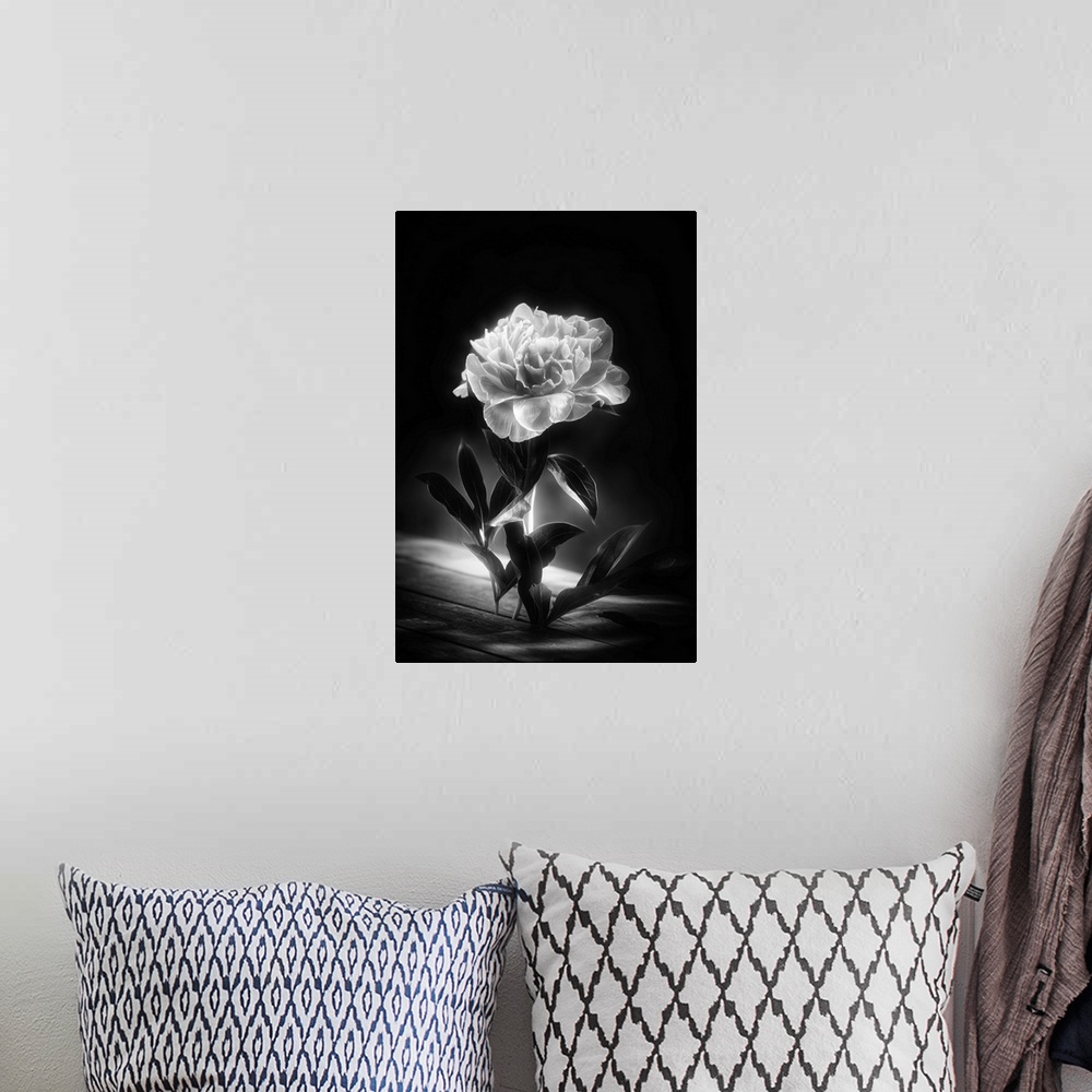 A bohemian room featuring Peony in black and white looks irridated by light