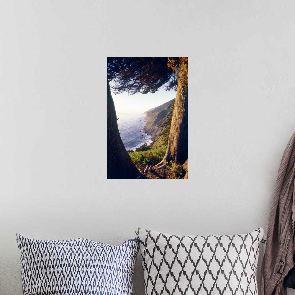 A bohemian room featuring Coastal View Between Trees, Ragged Point, Big Sur Coast, California