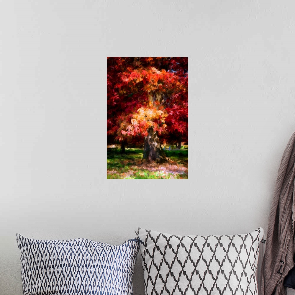 A bohemian room featuring Red foliage of an oak tree in autumn