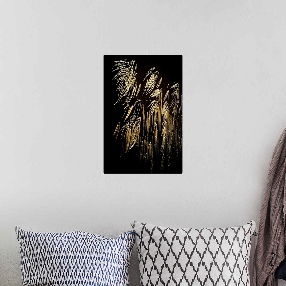 A bohemian room featuring Long exposure photograph of dry reeds floating on still water.