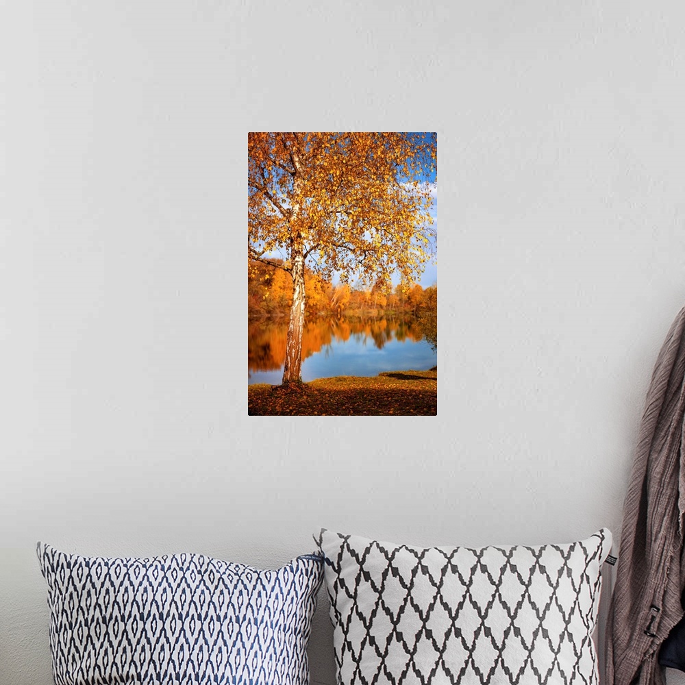 A bohemian room featuring Fall landscape with a pond surrounded by trees