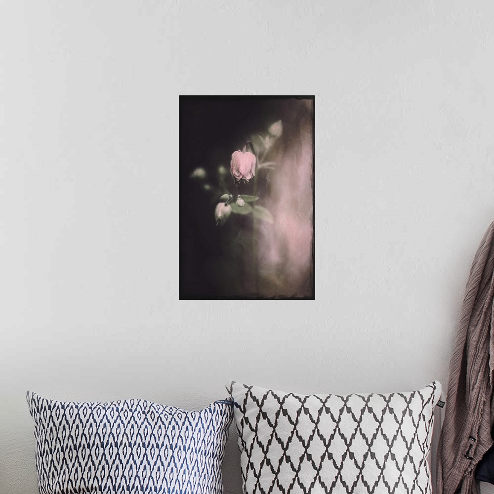 A bohemian room featuring Small rose flowers with a photo texture