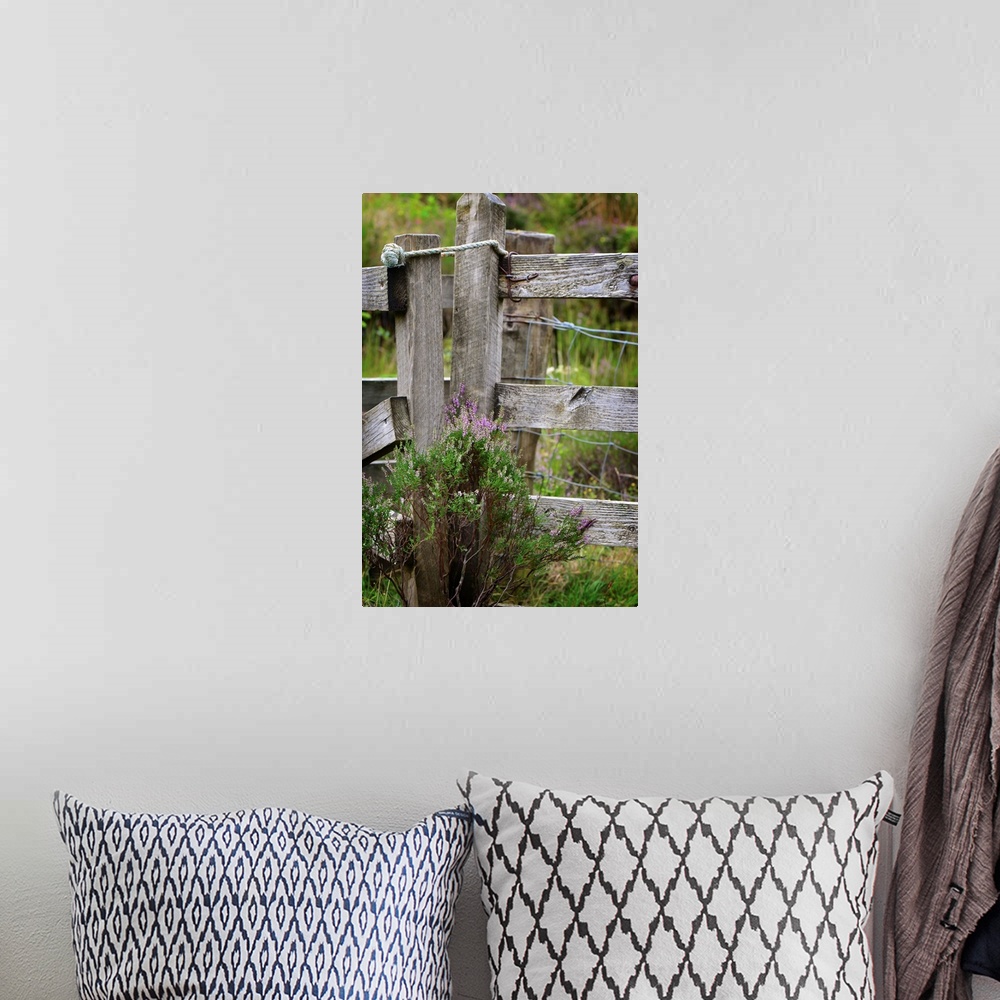 A bohemian room featuring Fine art photo of a wooden fence post wit thistle plants growing at the base.