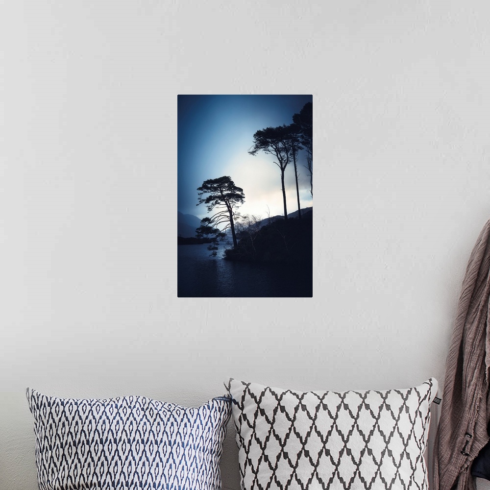 A bohemian room featuring Tree silhouettes alongside a lake in Scotland