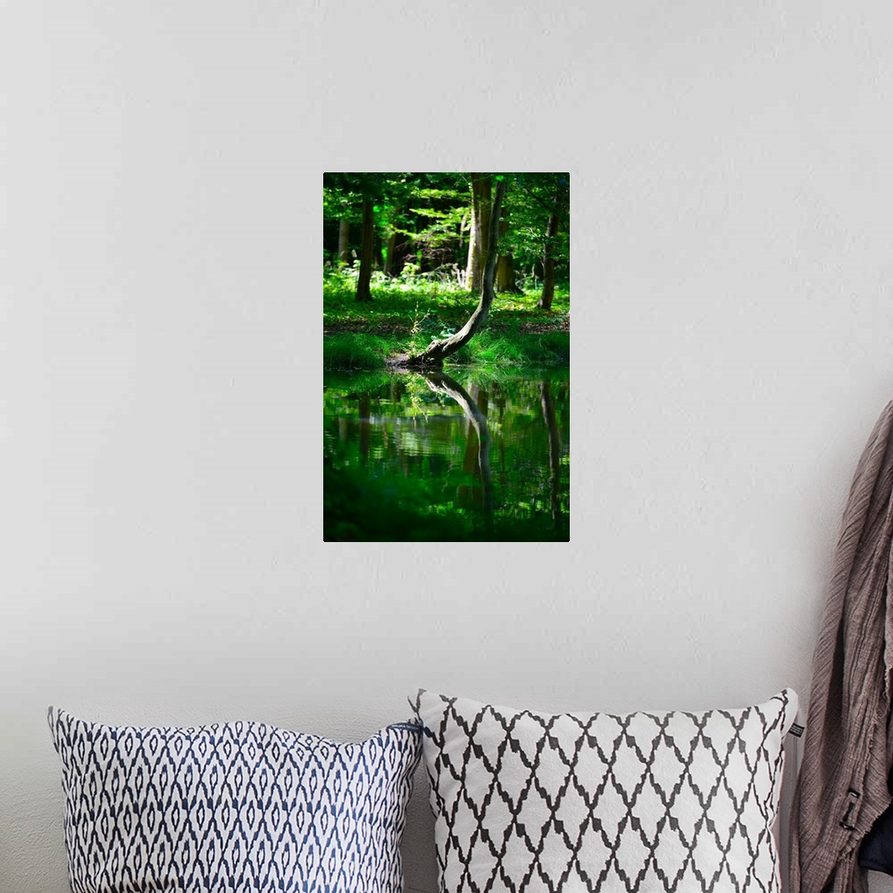 A bohemian room featuring Reflection of a green tree