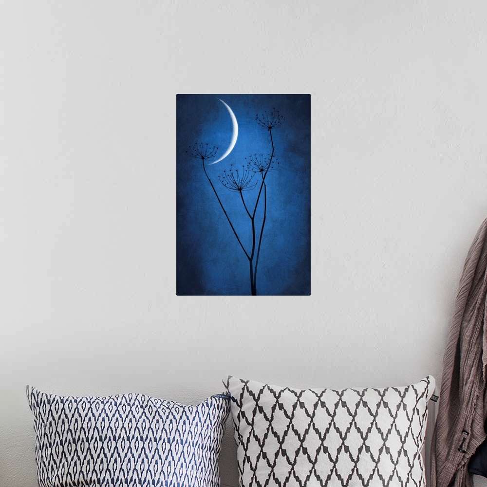 A bohemian room featuring Crescent moon with grass in the foreground. Dominant blue