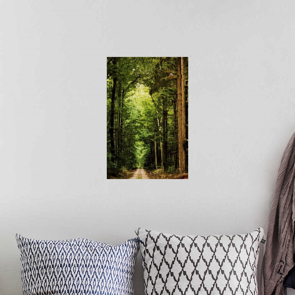 A bohemian room featuring Fine art photo of a path through a forest of very tall trees.