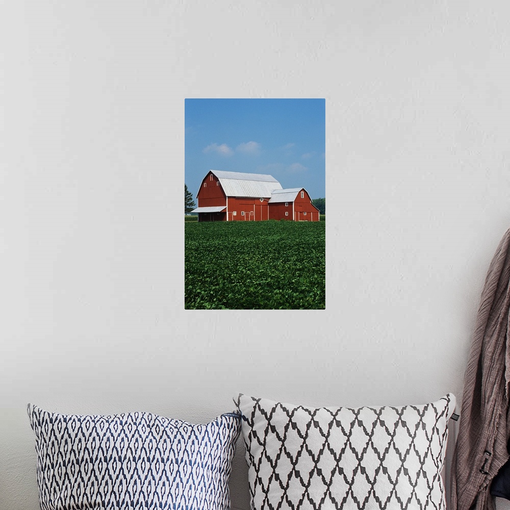 A bohemian room featuring Barn and Corn Field