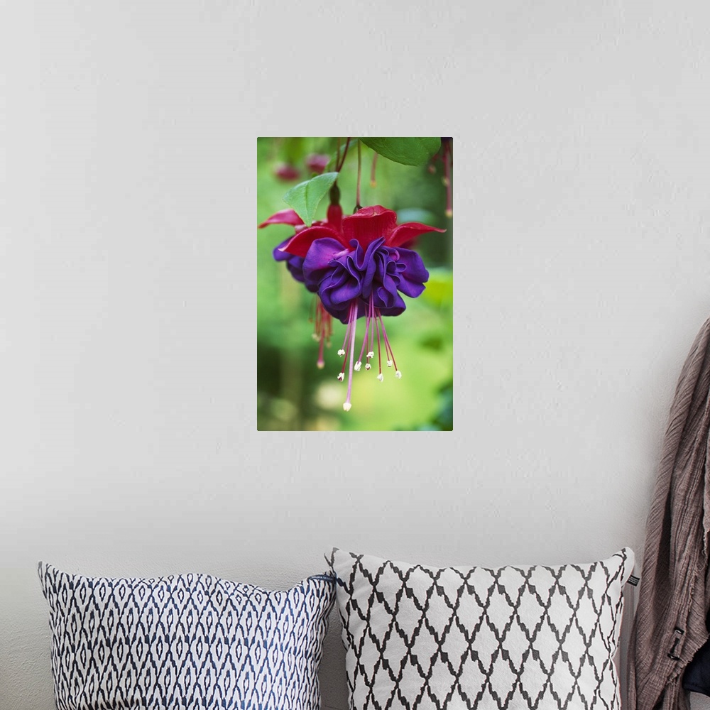 A bohemian room featuring Vertical image of a brightly colored flower on canvas.