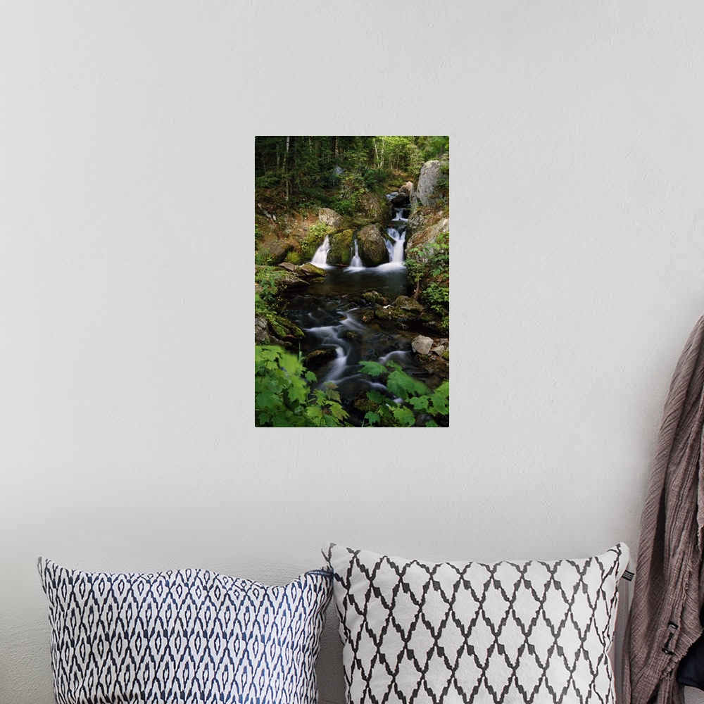 A bohemian room featuring Big, portrait photograph of Reany Falls surrounded by rocky terrain and lush, green forest in Mar...