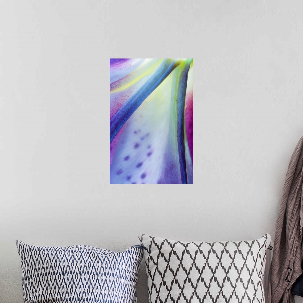 A bohemian room featuring Portrait, close up photograph on a big canvas of part of a  multi-colored stargazer lily bloom.
