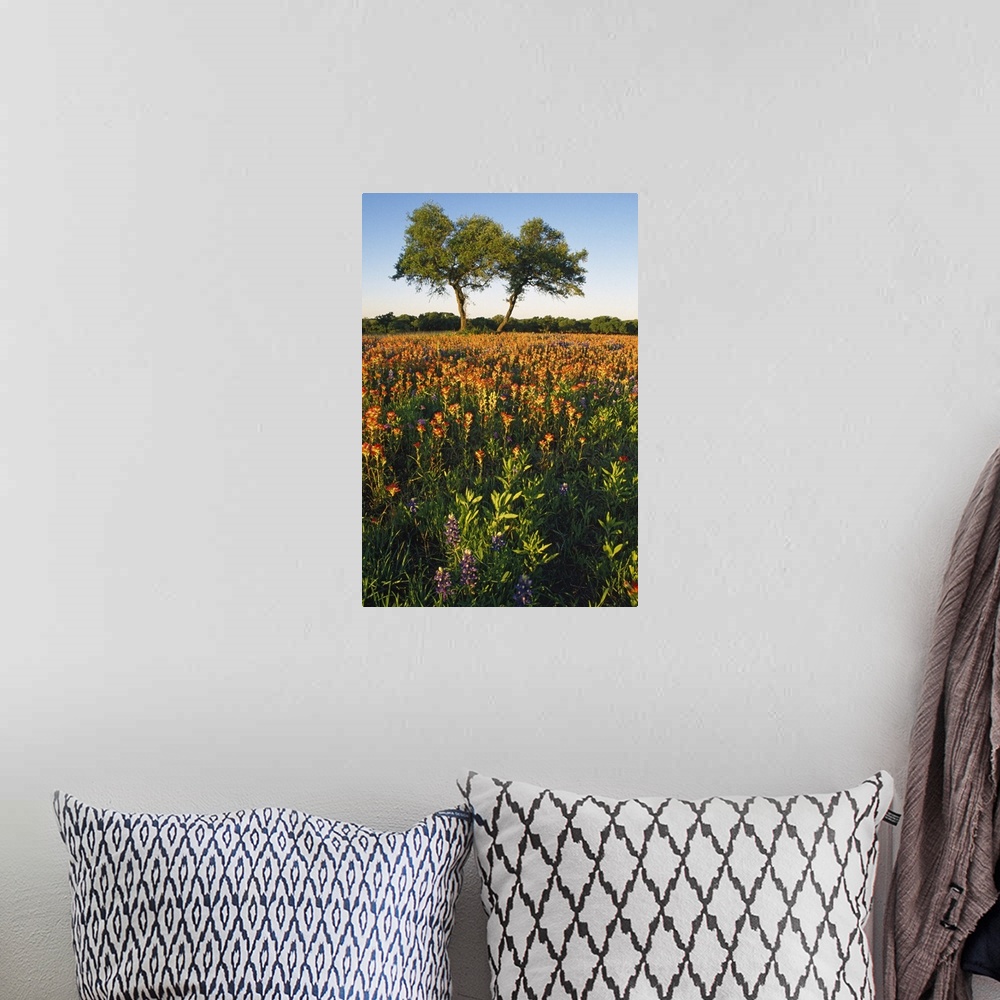A bohemian room featuring Portrait photograph on a big canvas of a field of wildflowers in the sun, two large trees stand t...