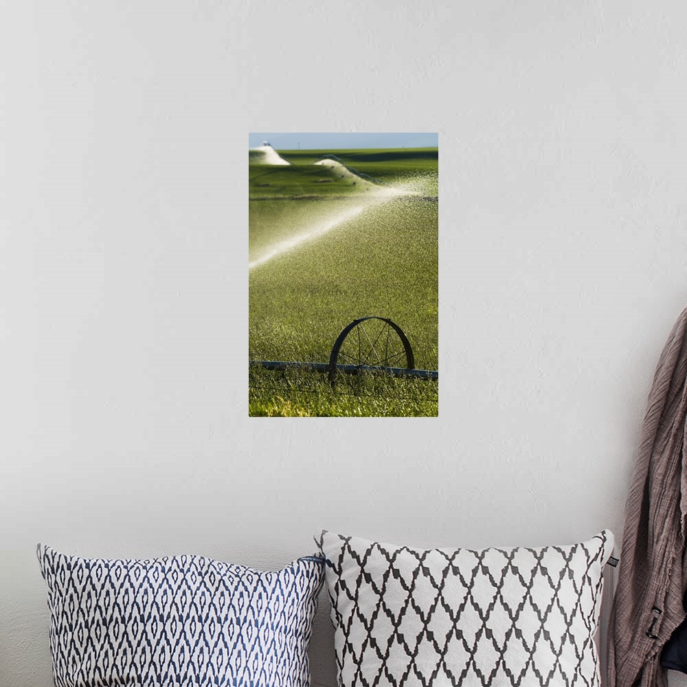 A bohemian room featuring Water spraying from irrigation sprinklers on green farmland hills, selective focus close up, Montana