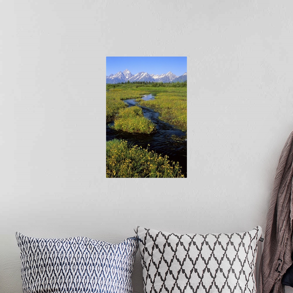 A bohemian room featuring Wyoming, Grand Teton National Park, Water flowing through the landscape