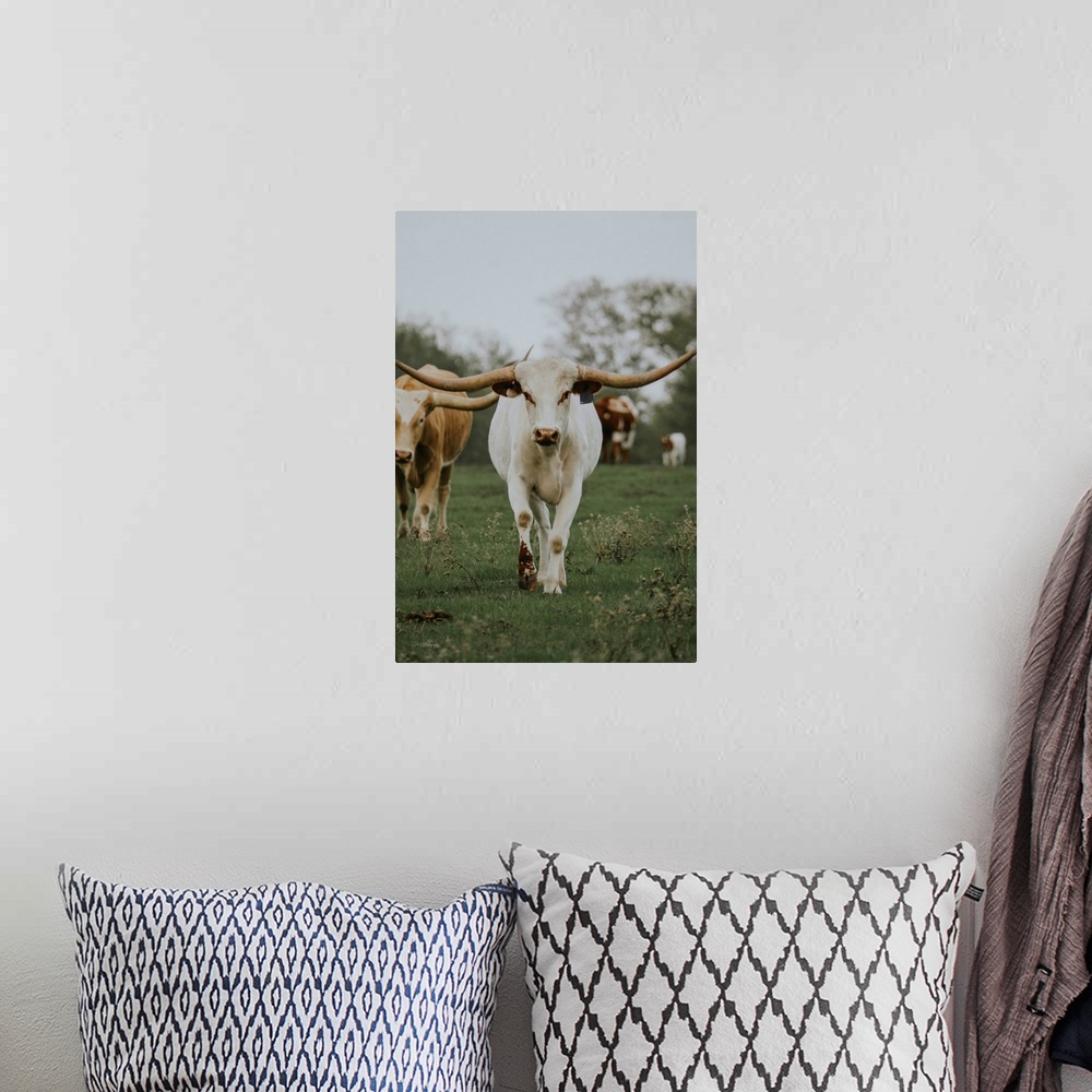 A bohemian room featuring Longhorn In Amarillo I