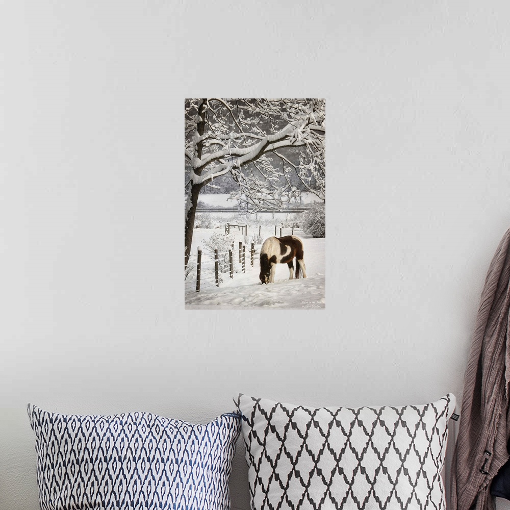 A bohemian room featuring Horse grazing beside a fence in a snow covered field.