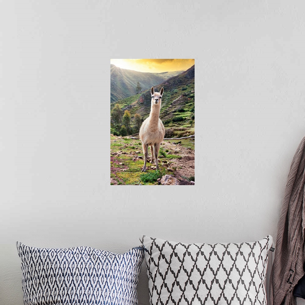 A bohemian room featuring "Colors of Peru" is a captivating photography collection that captures the vibrant essence and ri...