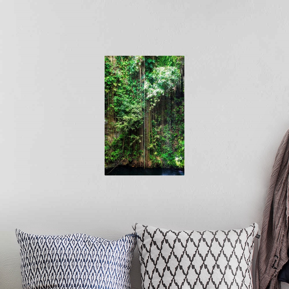 A bohemian room featuring Photograph of the hanging roots at Ik-Kil Cenote, Ik-Kil archaeological park, Mexico. From the Vi...