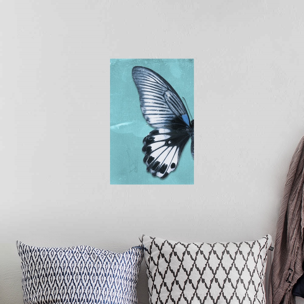 A bohemian room featuring Half of a butterfly on a blue sparkly background.