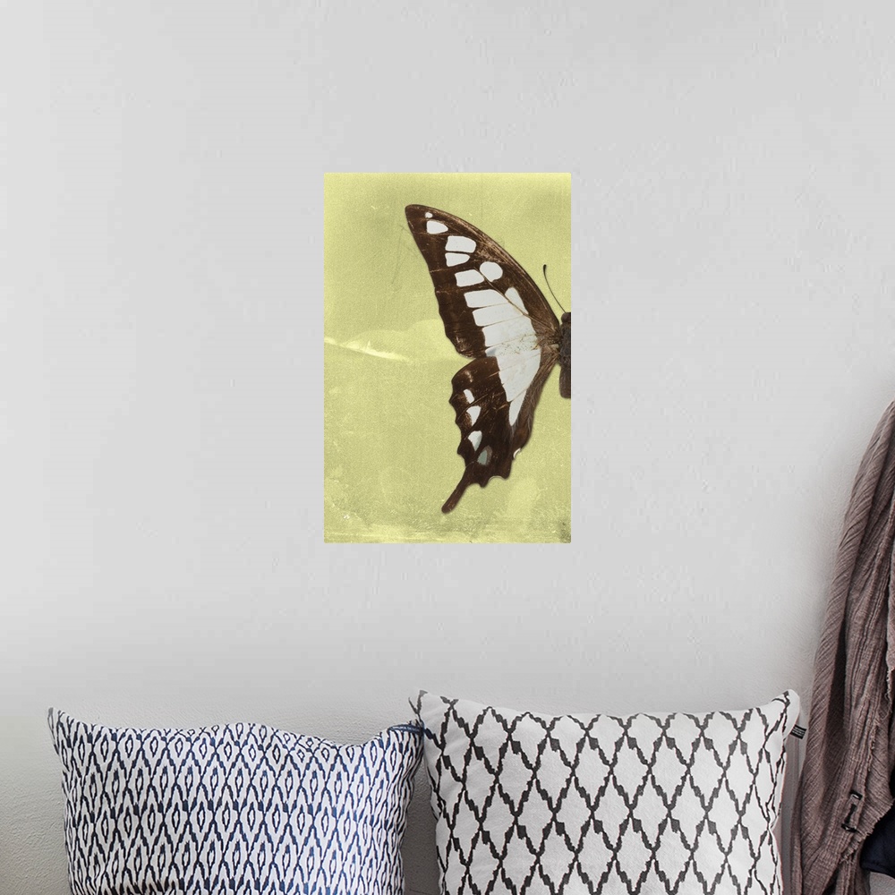 A bohemian room featuring Half of a butterfly on a yellow sparkly background.